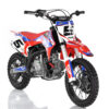 1 RXF Junior 110cc (3)