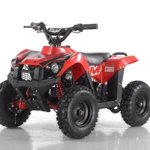 2 King Kong Elettrico 800W