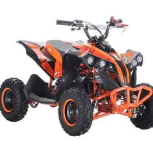 mini_lion_49_arancione