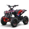 Mini Quad NCX CAYMAN Elettrico: 1000W R6