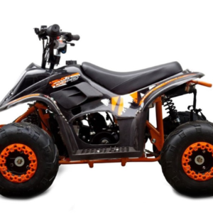 Alternative view of Quad KXD 001: R6, 125cc