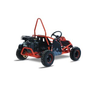 Alternative view of UTV BUGGY KAYO S70