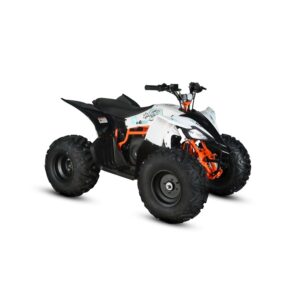 Quad ATV KAYO eA110: 1000W 48V