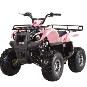Quad NCX T-REX: 125cc R8 FT ECO ALLOY