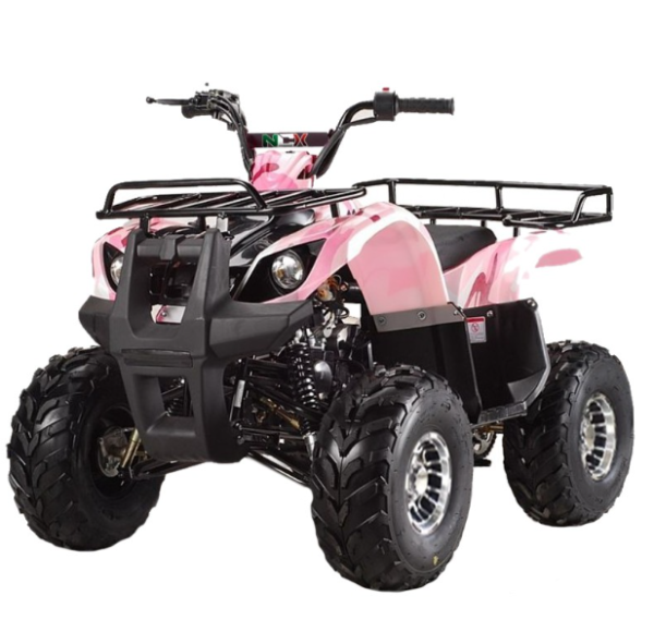 Quad NCX T-REX: 125cc R8 FT ECO ALLOY