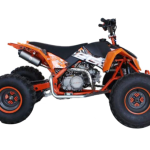 Alternative view of Maxi Quad EGL Madix Professional: 125cc