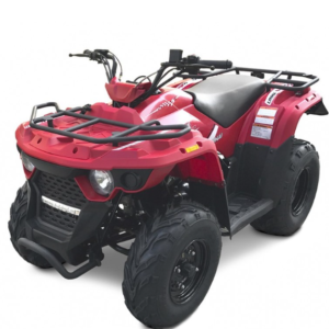 Quad Utility Linhai M150