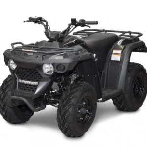 Alternative view of Quad Utility Linhai M150