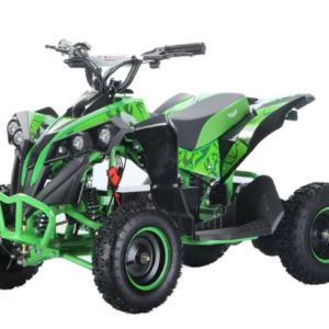 Mini Quad CVM Mini Lion Elettrico: 800W R6