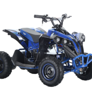 Alternative view of Mini Quad CVM Mini Lion Elettrico: 800W R6