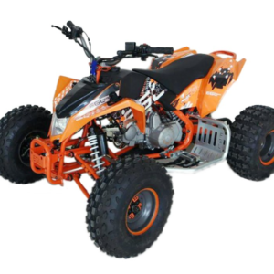 Maxi Quad EGL Madix Professional: 125cc