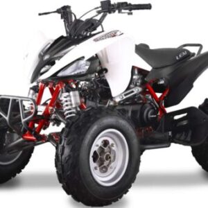 Alternative view of QUAD KONDOR LEM: 250CC