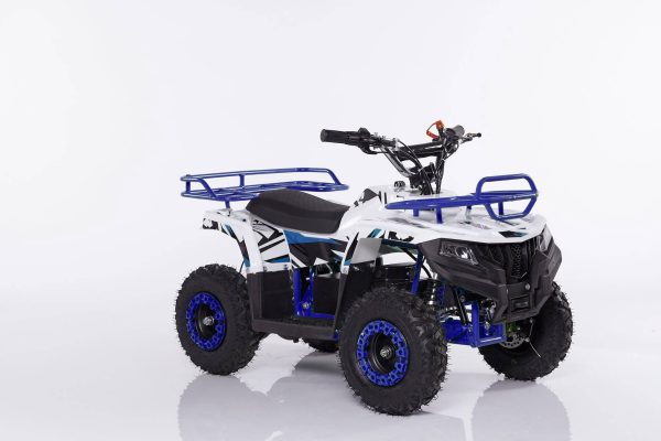 Mini Quad Elettrico KXD ATV500Z: 1000W 36V