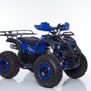 Quad KXD Danko Pro 006S: 125cc, raffreddamento ad aria