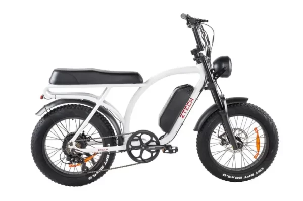 Bici Elettrica ZTECH ZT-86B Legacy 2.0