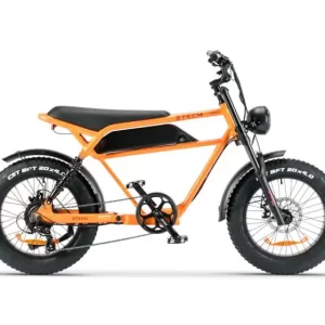 Bici Elettrica ZTECH ZT-75A Legacy 3.0