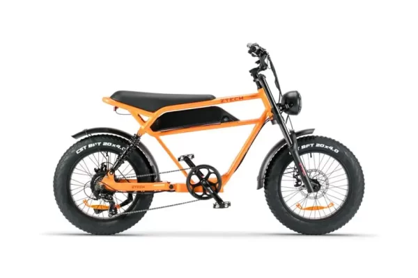 Bici Elettrica ZTECH ZT-75A Legacy 3.0