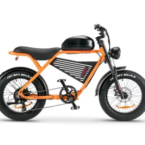 Bici Elettrica ZTECH ZT-75B Legacy 4.0