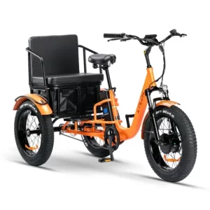 Bici Elettrica ZTECH ZT-80C PASS TRIKE