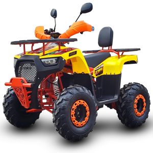 Quad ANGRY NCX elettrico: 1500W