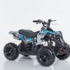 Mini quad REPTY: R6, 49cc