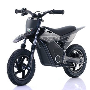 Bici elettrica WARRIOR SX-E250