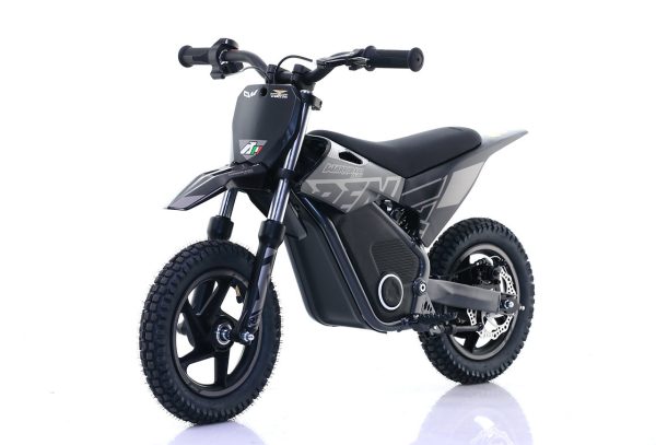 Bici elettrica WARRIOR SX-E250